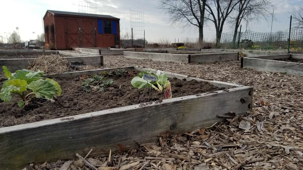 It is too early for the Godfrey Village Garden to be in full bloom, but Master Gardeners will be available in the demonstration garden as the planting season begins. 