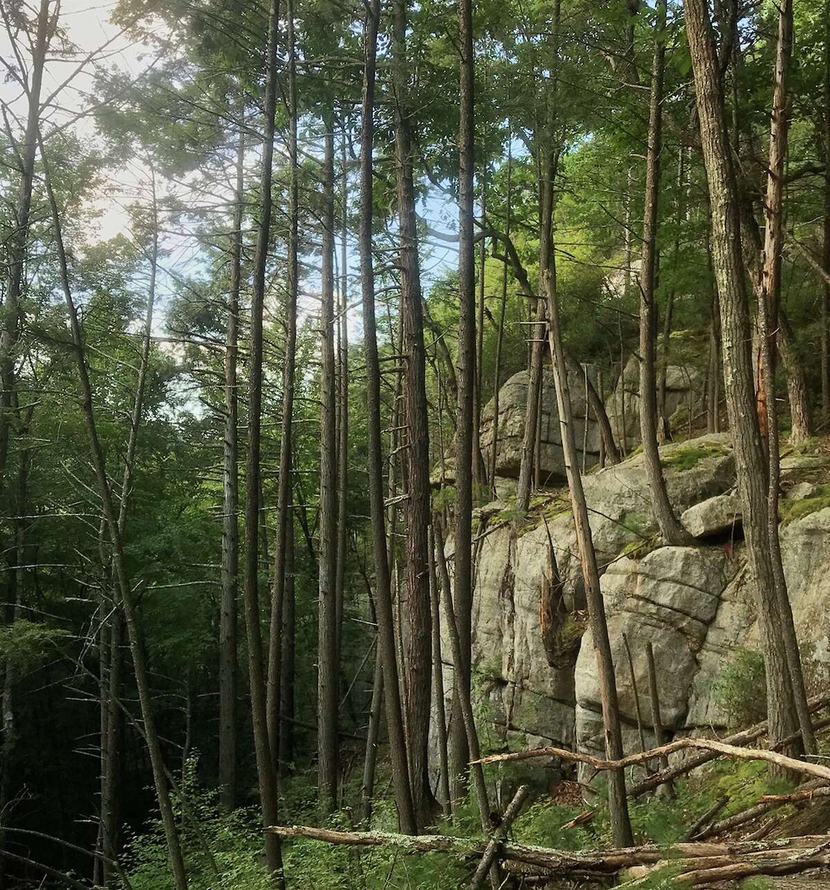 Over 71 acres of the Shawangunk Ridge have been permanently protected by the Mohonk Preserve and The Shawangunk Conservancy.