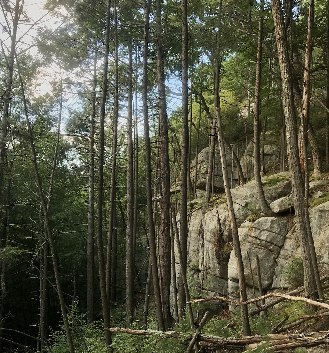 71 acres of Shawangunk Ridge to be protected - Vimarsana News