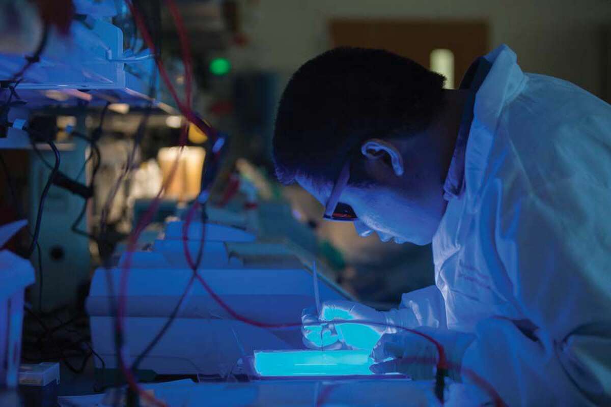 Albert Cheng, assistant professor at The Jackson Laboratory for Genomic Medicine, works at the Farmington facility.