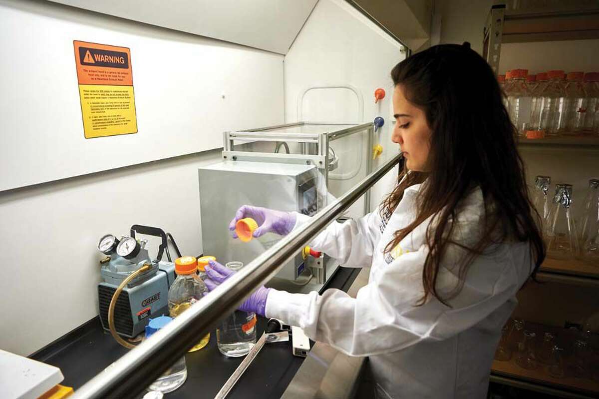 Research technician Didem Ozcam works at the hood in the lab at LambaVision at the Cell and Genome Sciences Building in Farmington.