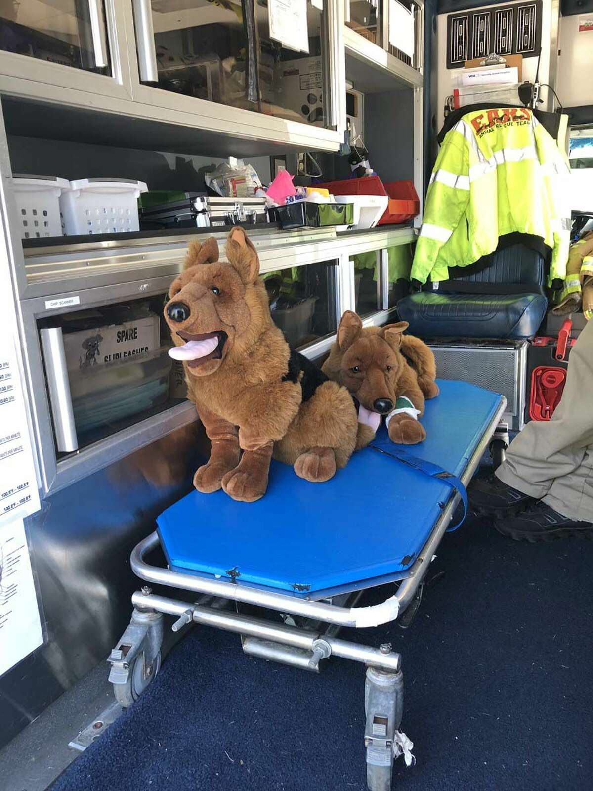 A couple recovering stuffed pups hang out on a dog-size stretcher in the EARS ambulance.