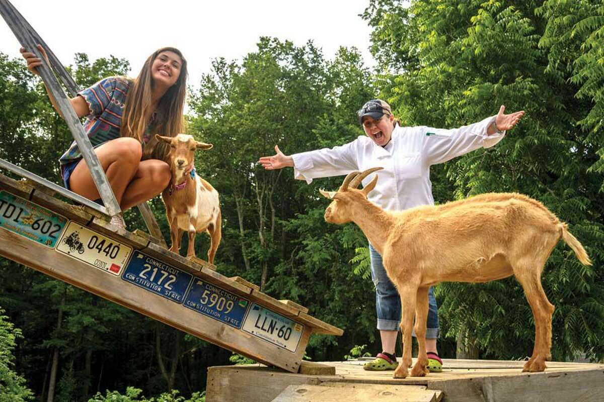 Juliette Denis, left, and Kathy Denisiewicz with goats Cupcake, left, and Ellie Mae.