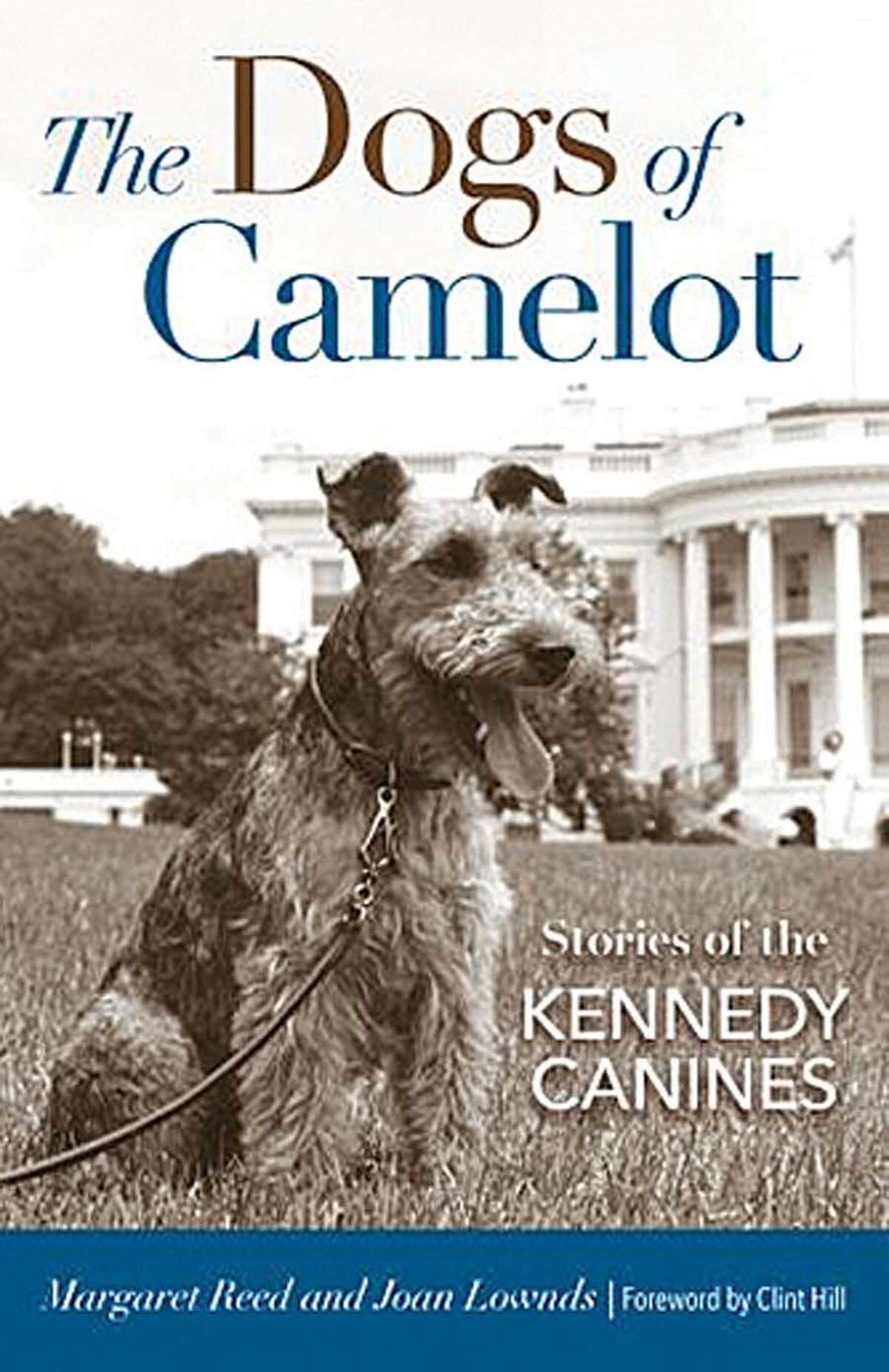 The Dogs of Camelot copy.jpg