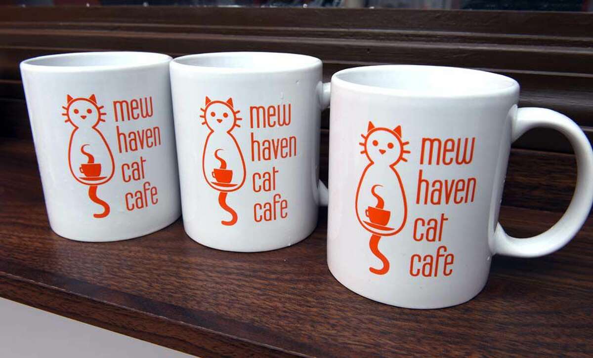 Coffee mugs for sale at the Mew Haven Cat Caffe.