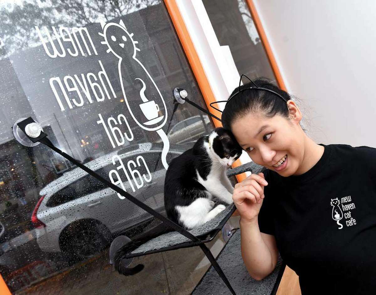 Angela Pullo, owner of Mew Haven Cat Cafe, with Tiggs.