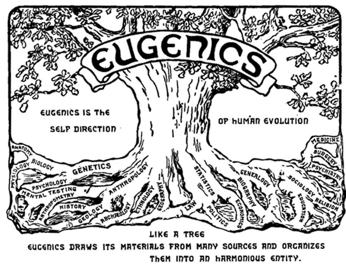 The logo from the second International Eugenics Conference, in 1921.