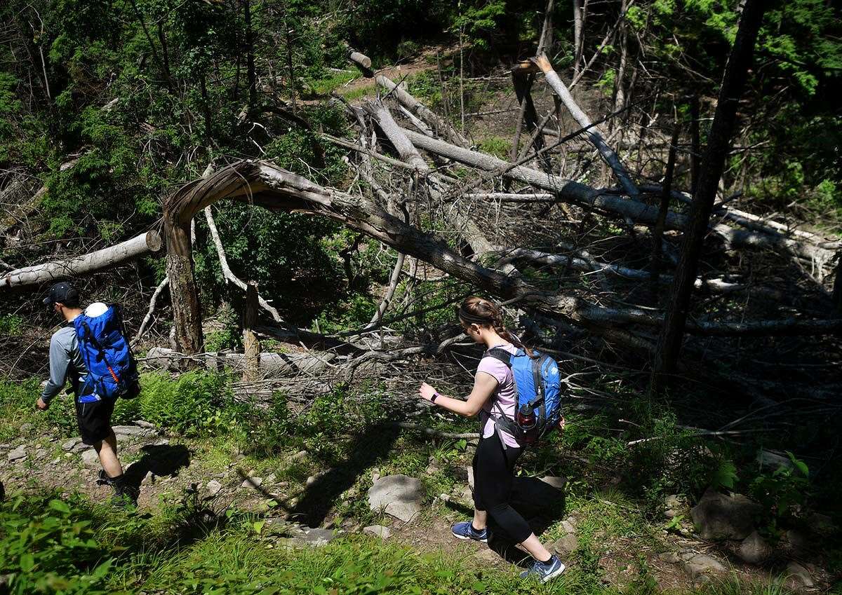 Hikers cross a section of Sleeping Giant State Park decimated by the 2018 tornado.