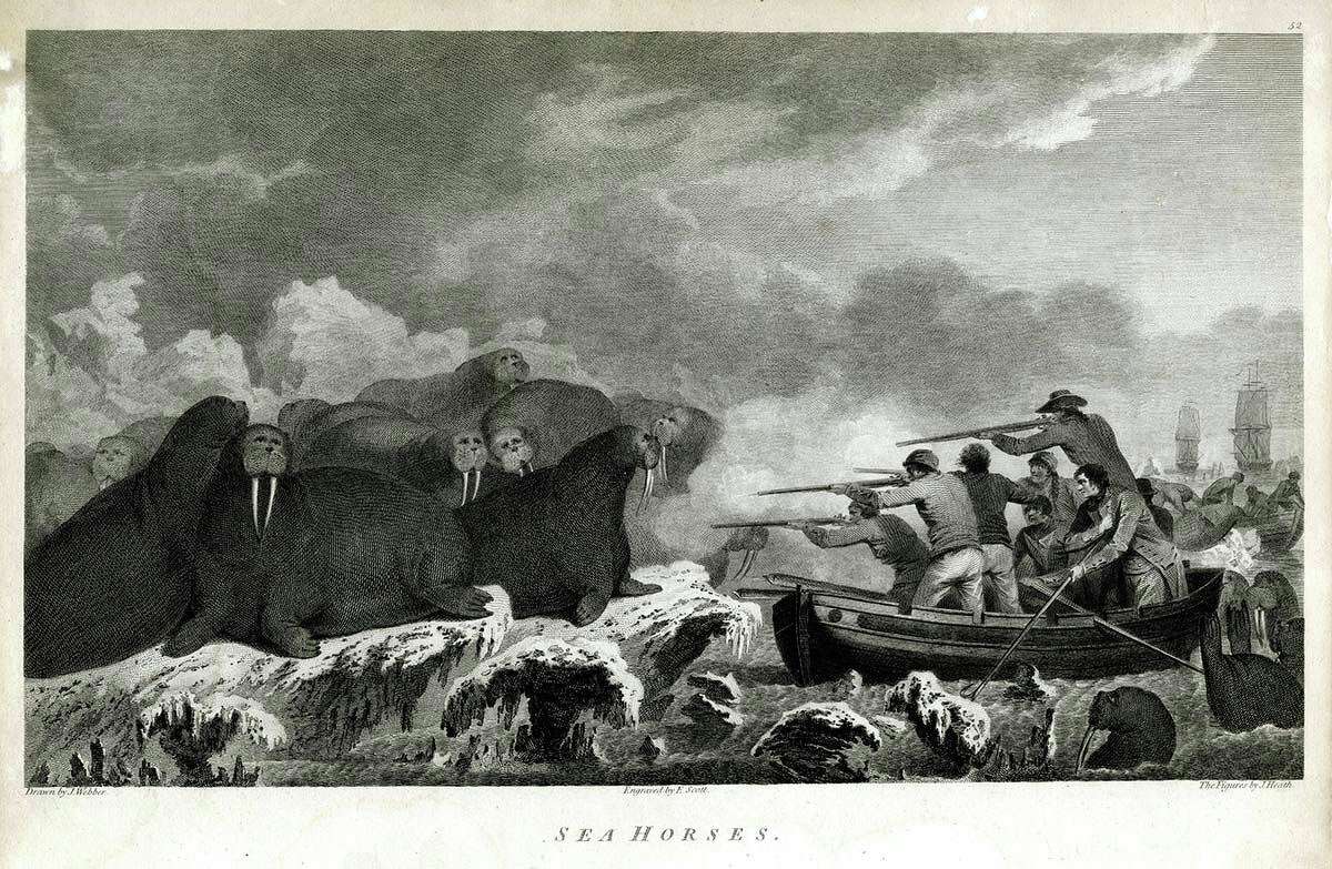 Groton native John Ledyard was a member of Captain James Cook’s final expedition of 1776-80. Members of the crew are depicted hunting “sea-horses” (walruses) for food in this engraving based on a painting by John Webber, the official expedition artist on the voyage.