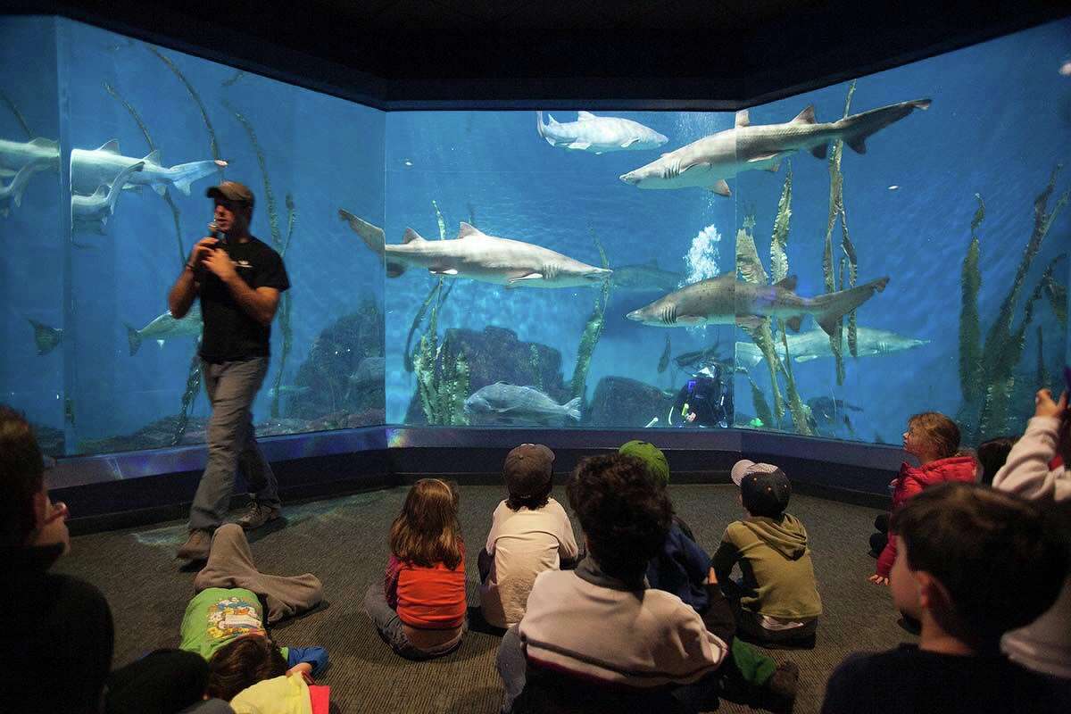 The Maritime Aquarium