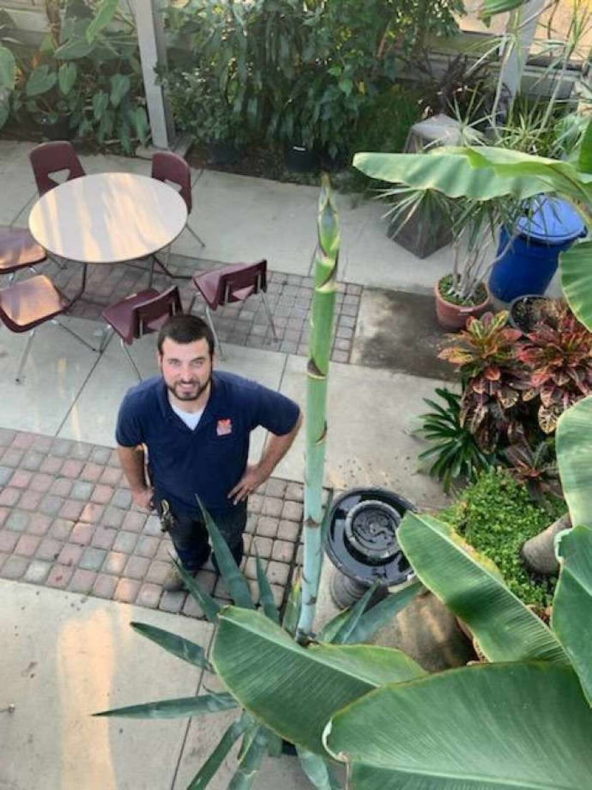 Connecticut's Beardsley Zoo horticulture manager Jonathan Dancho poses with an Agave plant, also known as a century plant.