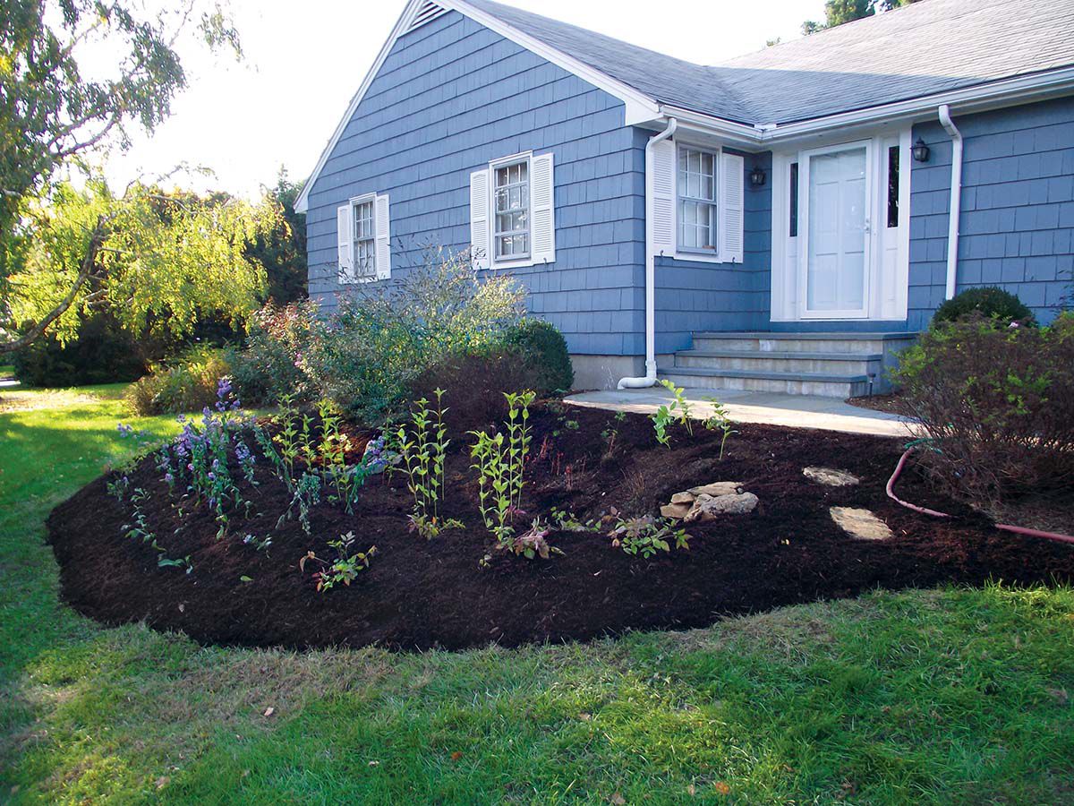 Take Advantage Of Stormwater Runoff With An Attractive, Water-filtering 