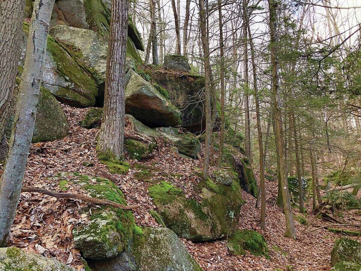 Hiking the Stony Creek Quarry Preserve in Branford