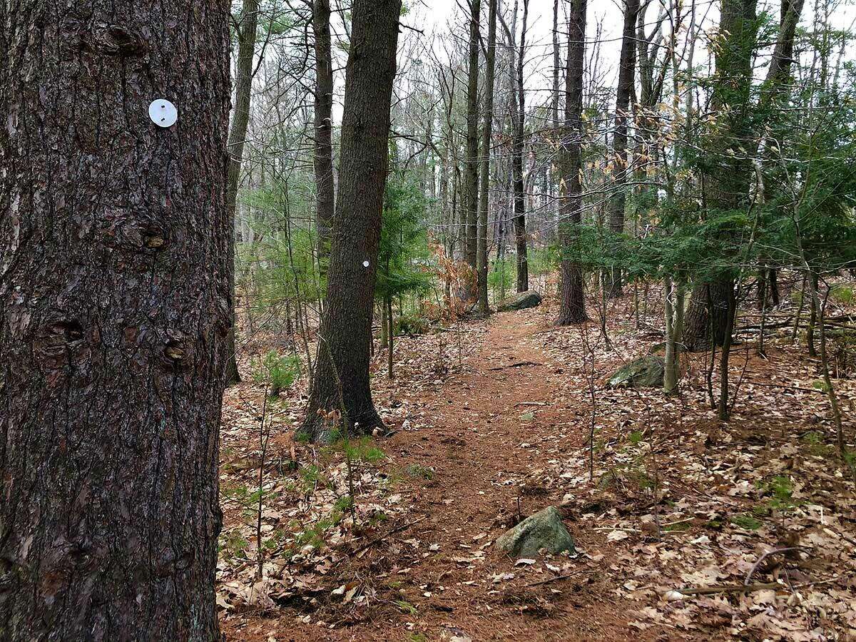 Hiking the Stony Creek Quarry Preserve in Branford