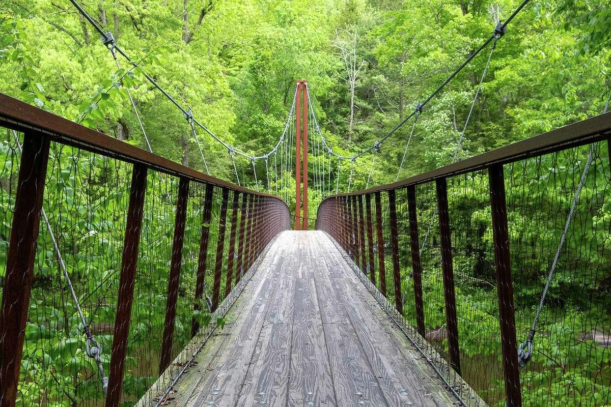 The Thoreau Bridge at the Hidden Valley Preserve
