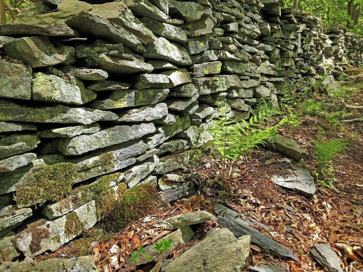 A stone wall along the path at the Brockway-Hawthorne Preserve.