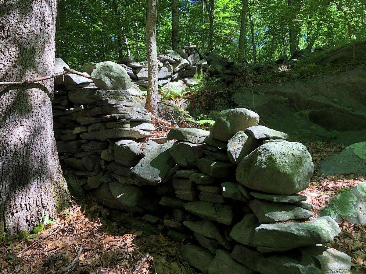 At CanfieldMeadow Woods, losing yourself among imposing trees and rock