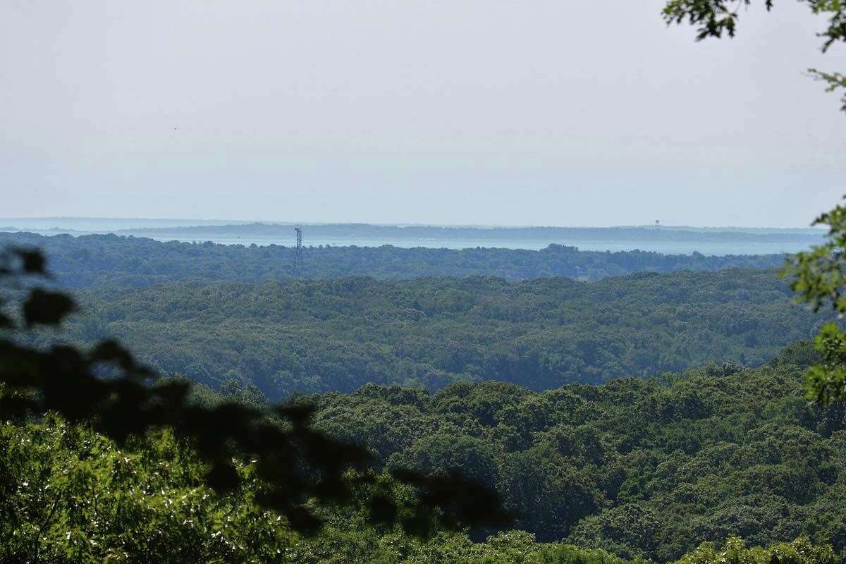 At CanfieldMeadow Woods, losing yourself among imposing trees and rock