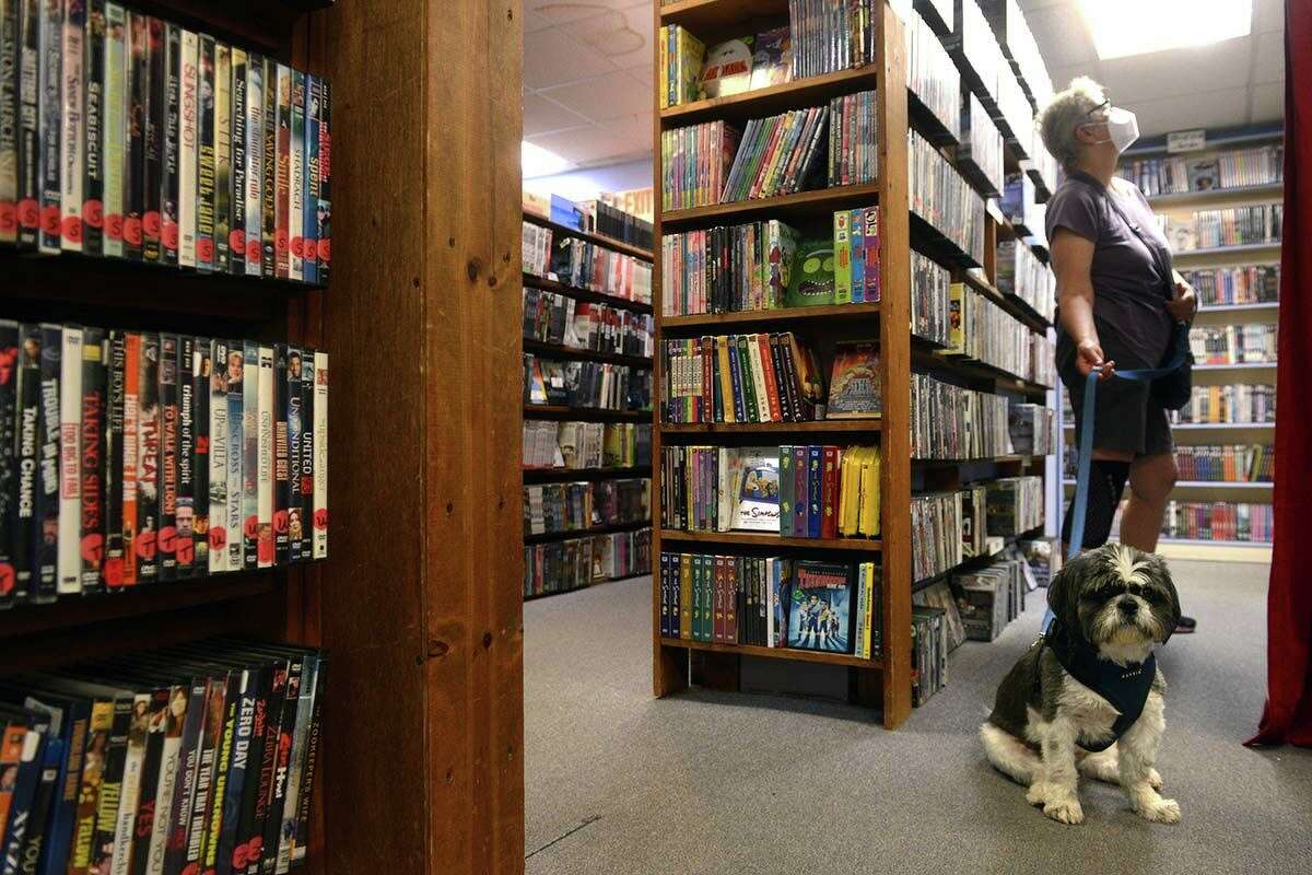 Wendy Kohli, of Hamden, browses for DVDs with her dog Willi.