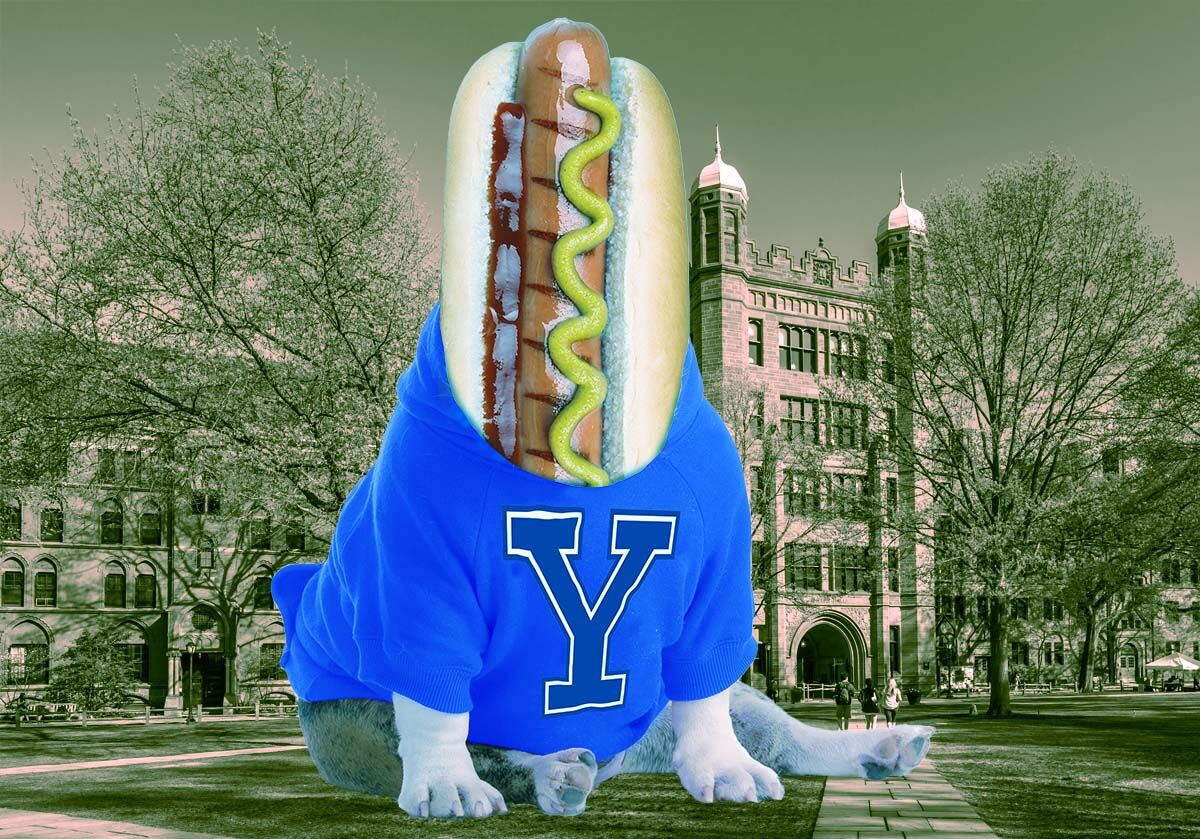 a-frank-history-of-how-yale-students-helped-the-humble-hot-dog-get