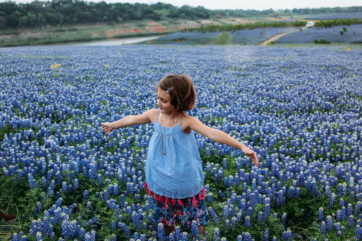As season arrives, Texas photographers share how to get the
