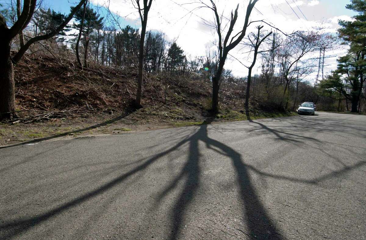 60+ trees will be cut down in Darien. What happens now?