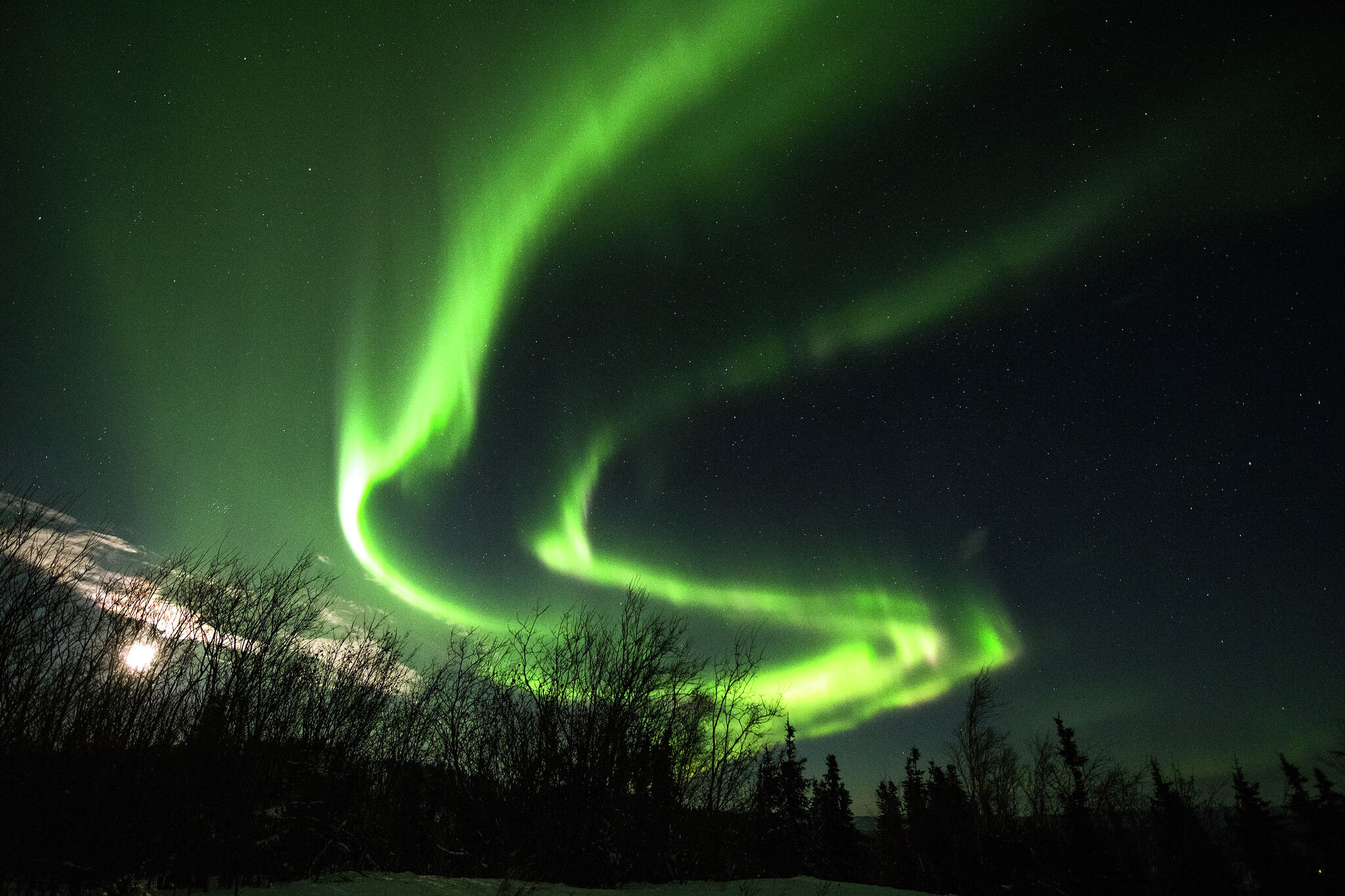 Northern Lights Might Be Visible In Parts Of Northern California Tonight