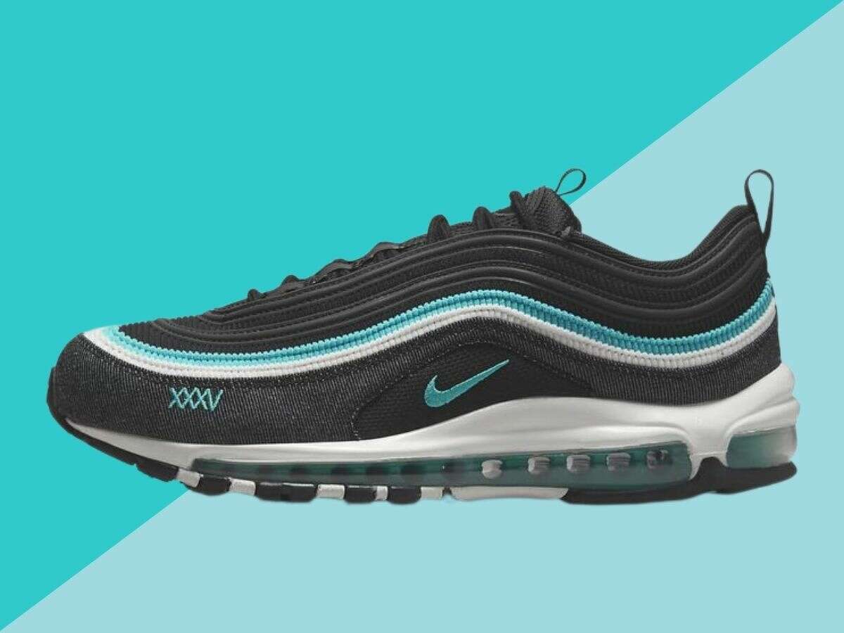 the iconic air max