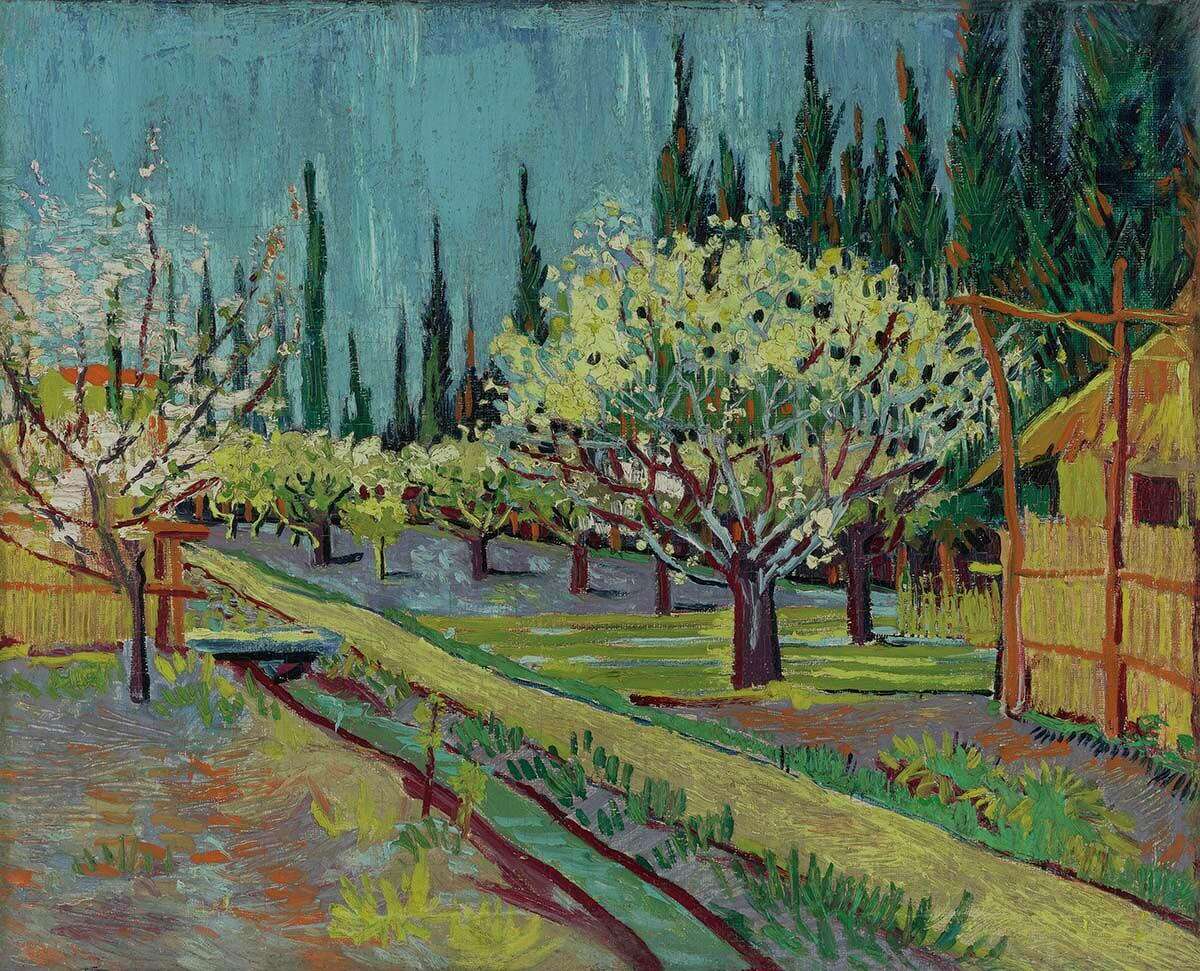 Vincent van Gogh, Dutch, 1853-1890, Orchard Bordered by Cypresses, 1888, oil on canvas, 12 3/4 ?— 15 3/4 in., promised gift of William L. Bernhard, B.A. 1954, and Catherine G. Cahill, ILE2017.12.1