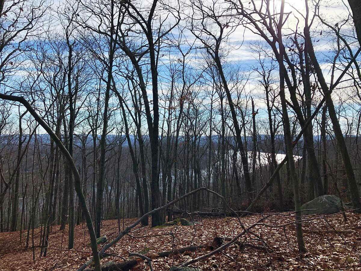 Many of the views at Bear Mountain Reservation are seasonal when the trees are bare.
