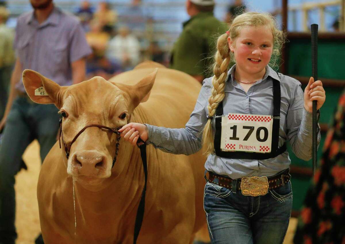 Kamlynn Mason’s steer was named reserver champion during the Montgomery County Fair and Rodeo’s market steer show, Tuesday, March 29, 2022, in Conroe. Her brother’s steer won grand champion in the show.