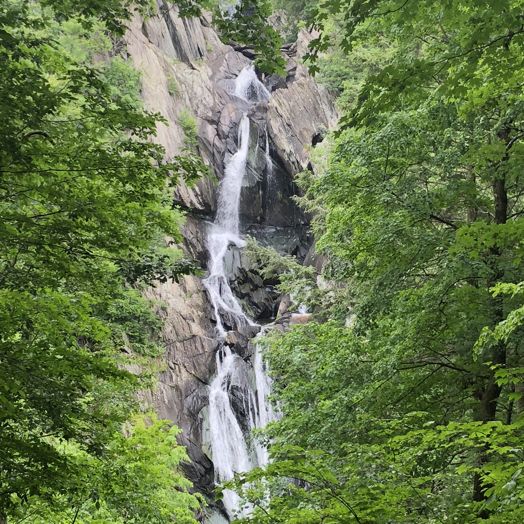 9 reasons why hidden gem Philmont should be your next day trip - Vimarsana News