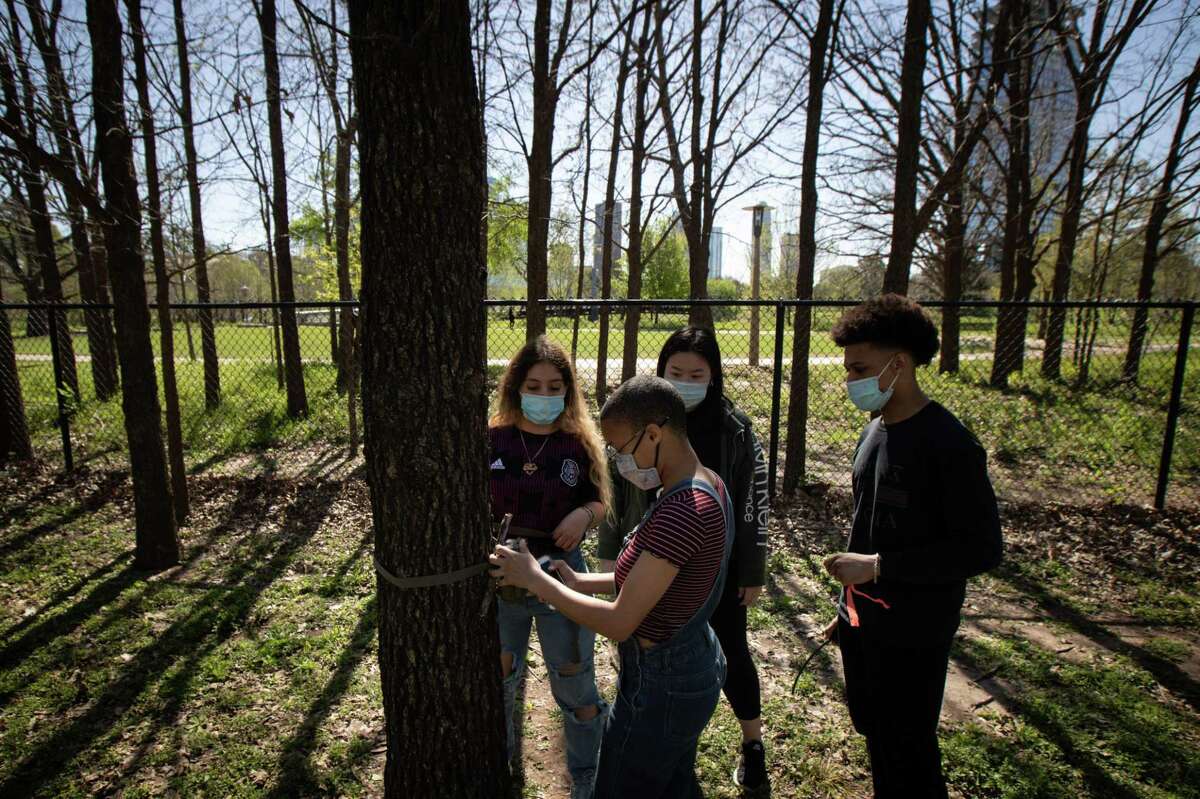 Taylor Roy, center, positions a remote camera as her University of Houston classmates Diana Islas, from rear left, Alexis Huynh and Kaleb Barnes help Thursday, March 31, 2022, at Glenwood Cemetery in Houston. The group of biology majors set up the wildlife camera to monitor animals in the city. “I wasn’t aware of a lot of the animal populations that existed so close to the city before,” Barnes said.
