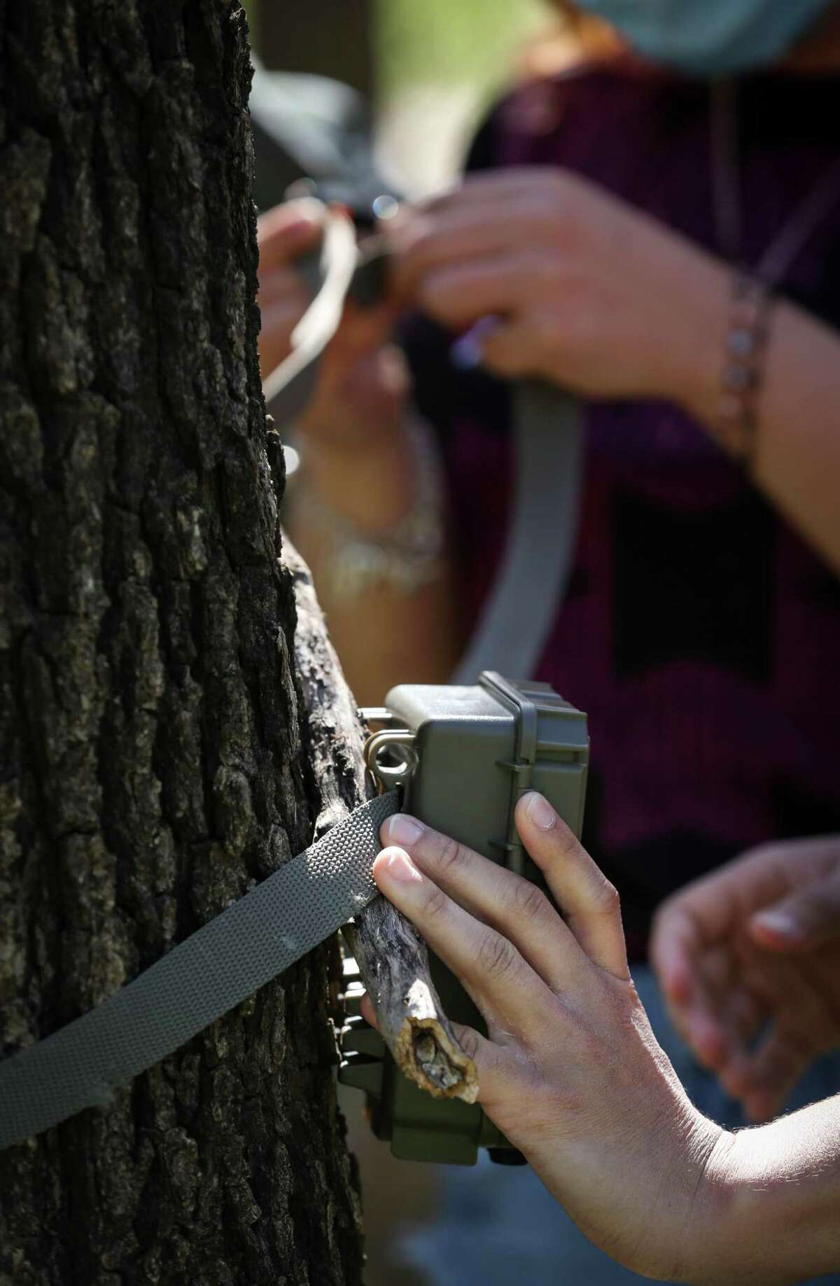 Taylor Roy holds a wildlife camera in place as Diana Islas attaches a security cable Thursday, March 31, 2022, at Glenwood Cemetery in Houston.