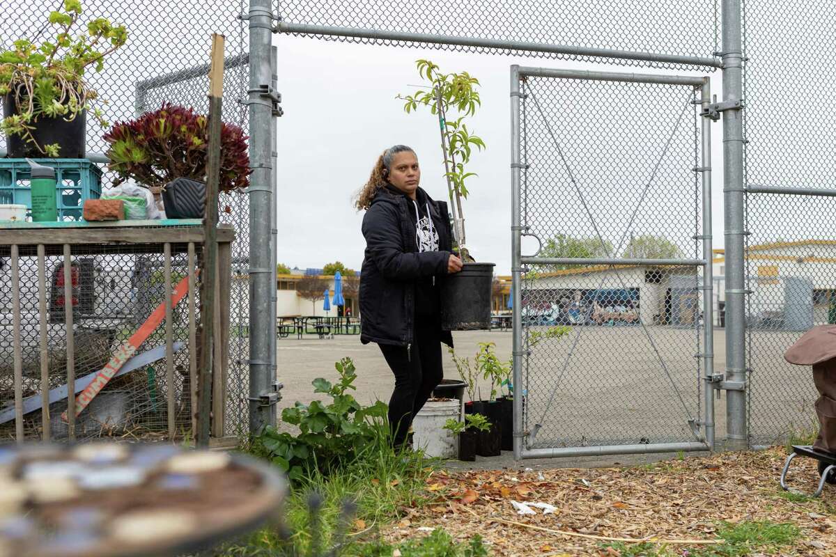 Sol Mercado carries a tree through the garden at Madison Park Academy Elementary School on Tuesday, March 29, 2022 in Oakland, Calif.