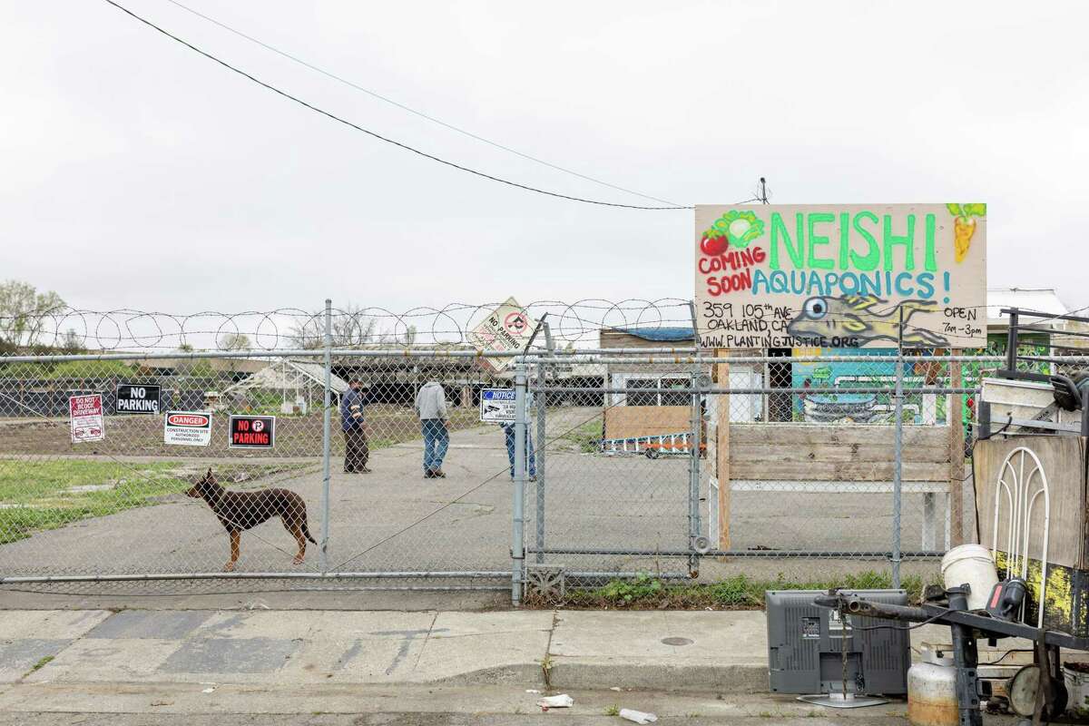 The site where an urban aquaponics farm will be located is seen Tuesday, March 29, 2022 in Oakland, Calif.