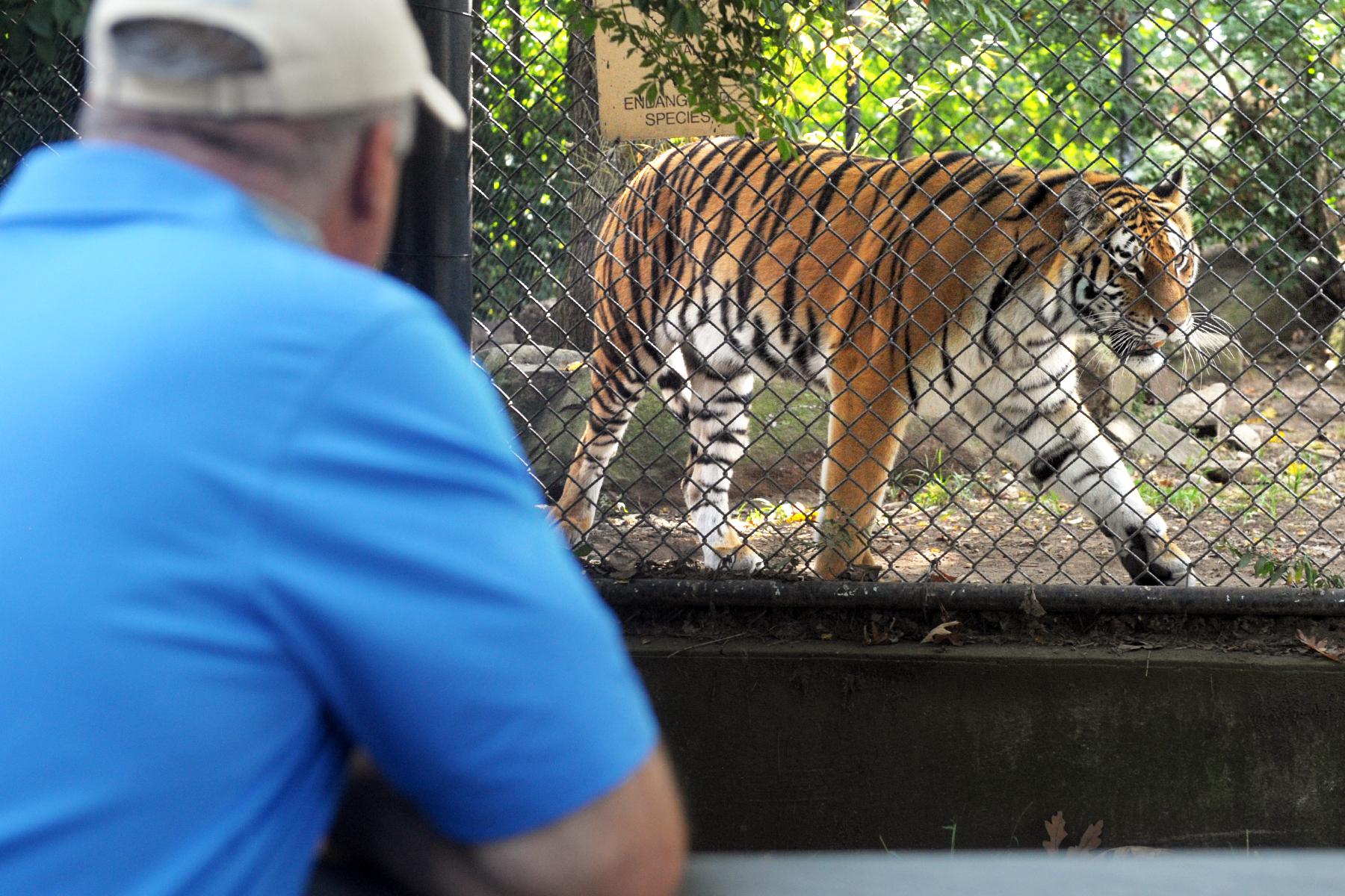For CT attractions with live critters, pandemic survival brings extra challenges - Vimarsana News