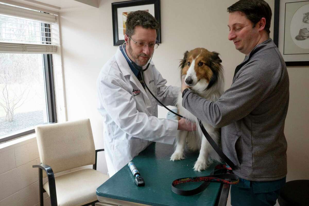 dr  Michael McCarthy, left, owner of The Village Animal Clinic, checks over a dog with the help of Joseph Pierle, office manager at the clinic, on Thursday, March 31, 2022, in Voorheesville, NY 