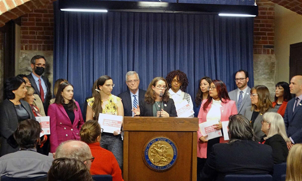 Illinois House Democrats outline their recent actions which they say support reproductive health rights in Illinois. 