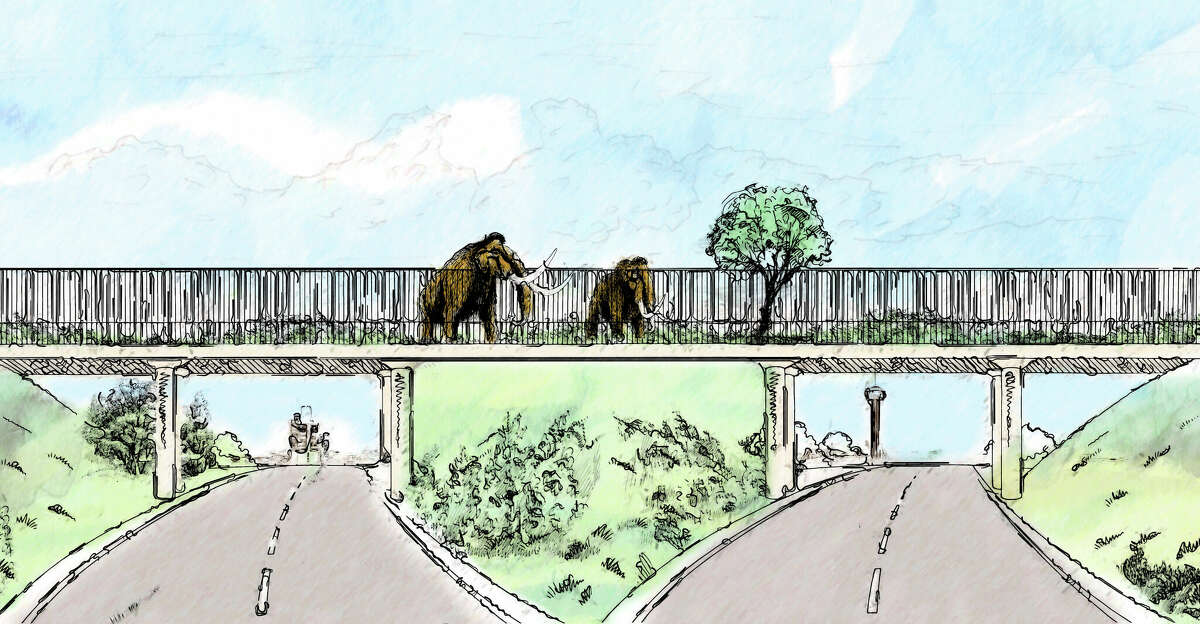 No. We will not be seeing mammoth hybrids crossing over the highway. Right? 