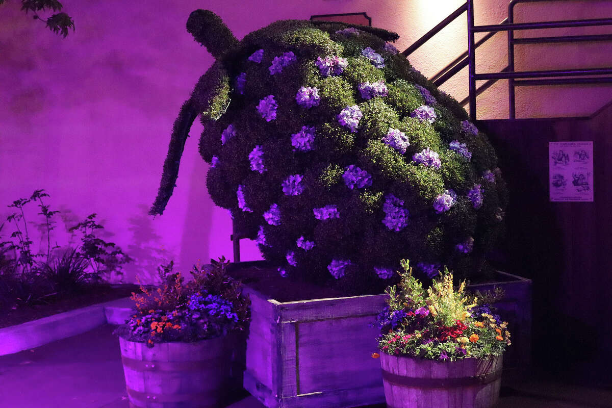 A Disneyland superfan’s first time at Knott’s Berry Farm