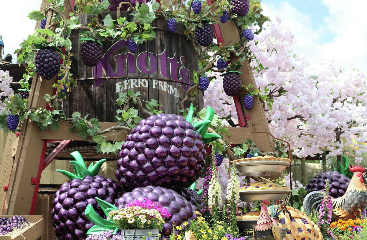 A Disneyland superfan’s first time at Knott’s Berry Farm