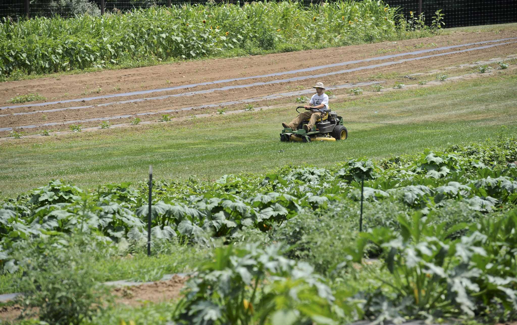 Group wants New Milford to join ‘Greenwave Movement’ to educate about farming, healthy agriculture