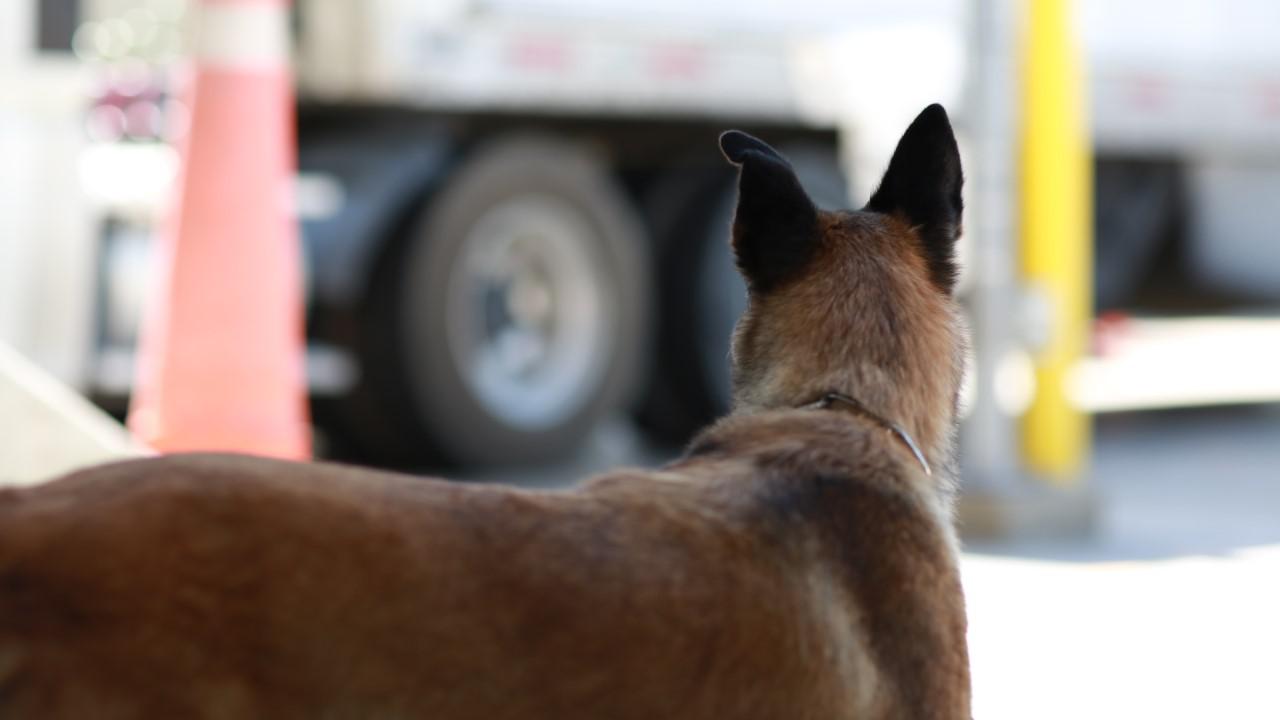 107 migrants found in trailer; truck driver expected $5,000 - Vimarsana News