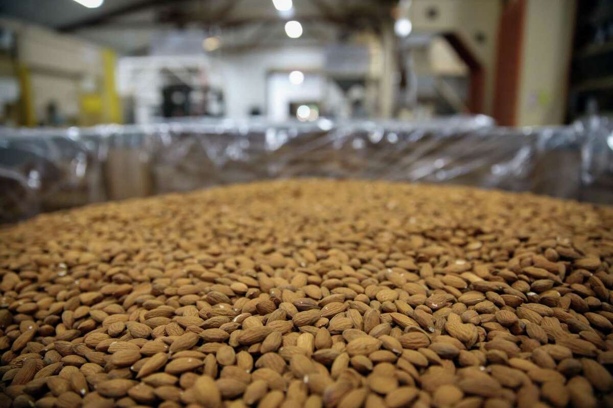 Almonds go through processing and sorting at Travaille Phippen almond farm in Manteca (San Joaquin County).