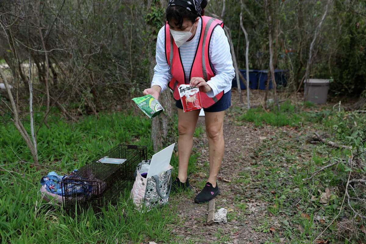 Monica Caballero, 53, with the San Antonio Feral Cat Coalition, sets up a trap to catch a female cat at an area park Friday, March 4.
