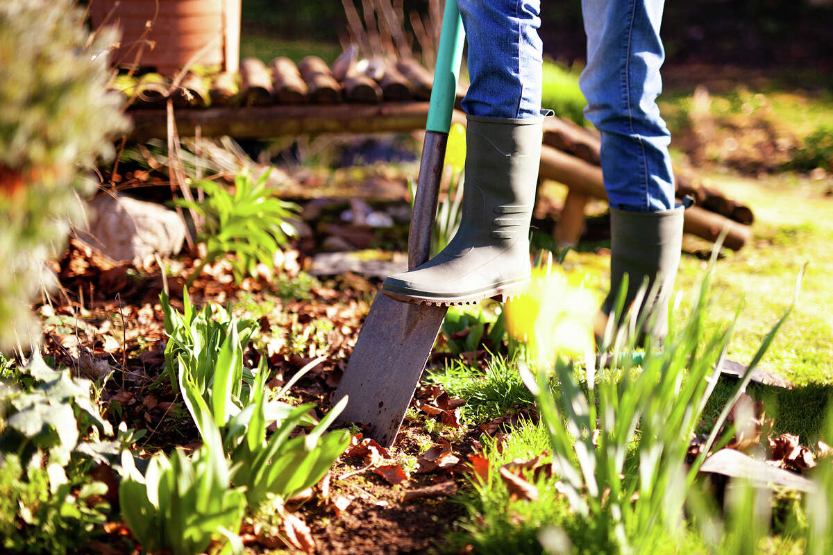 The top-rated landscaping services in San Francisco