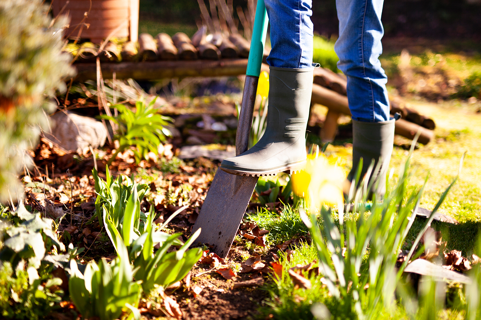 The best landscaping services in San Francisco