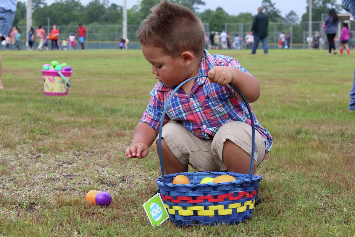 Children of all ages joined the giant hunt for Easter eggs at Carl Barton Jr. Park softball fields Saturday, April 13, 2019. The annual Morning with Mr. Bunny event is hosted by the city of Conroe's Parks and Recreation Department. This year’s event is this Saturday at 10 a.m. at Carl Barton Jr. Park.