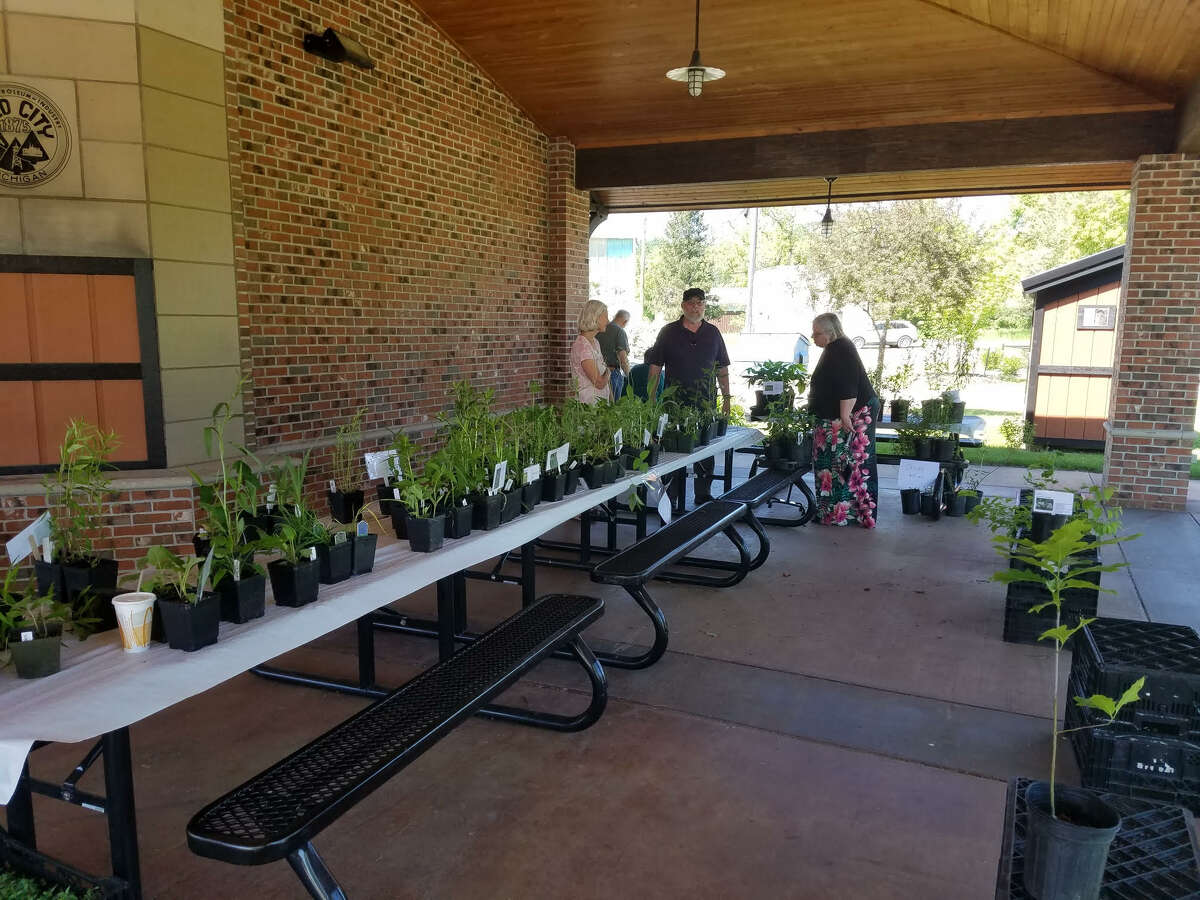 The Mecosta and Osceola-Lake Conservation Districts are currently taking orders for the Spring Native Plant Sale.  Ordering deadline is Thursday, May 19th. 